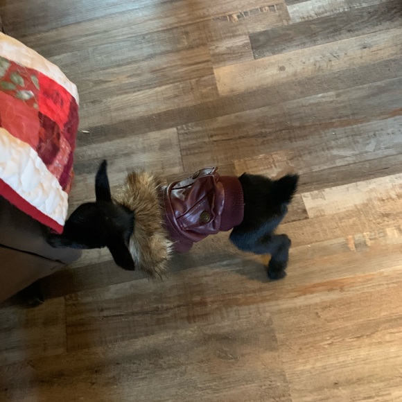 Crys Rice - Picture 5 of 6